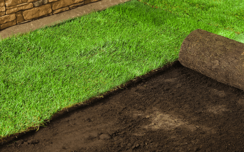 Sod Installation Services in Delaware, OH